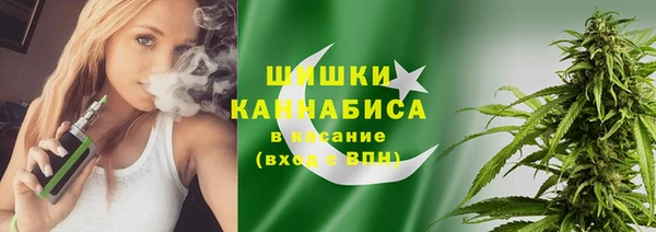 ГАЛЛЮЦИНОГЕННЫЕ ГРИБЫ Алзамай
