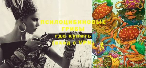 ПСИЛОЦИБИНОВЫЕ ГРИБЫ Алексеевка