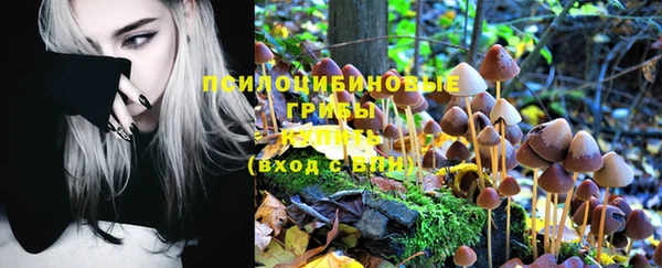 ГАЛЛЮЦИНОГЕННЫЕ ГРИБЫ Алзамай