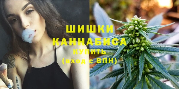 ГАЛЛЮЦИНОГЕННЫЕ ГРИБЫ Алзамай