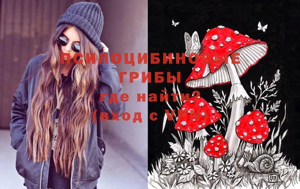 ПСИЛОЦИБИНОВЫЕ ГРИБЫ Алексеевка