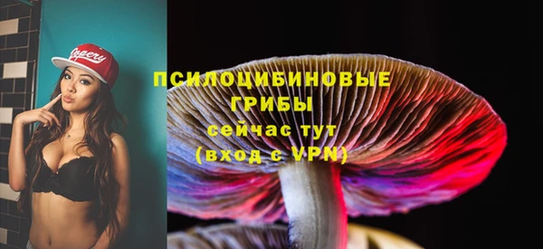 ГАЛЛЮЦИНОГЕННЫЕ ГРИБЫ Алзамай