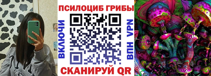 Псилоцибиновые грибы GOLDEN TEACHER OMG зеркало Перевоз